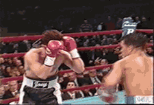tumblr_n340lbMHmo1six5o1o1_250.gif
