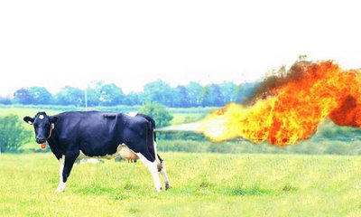 cow-methane.jpg
