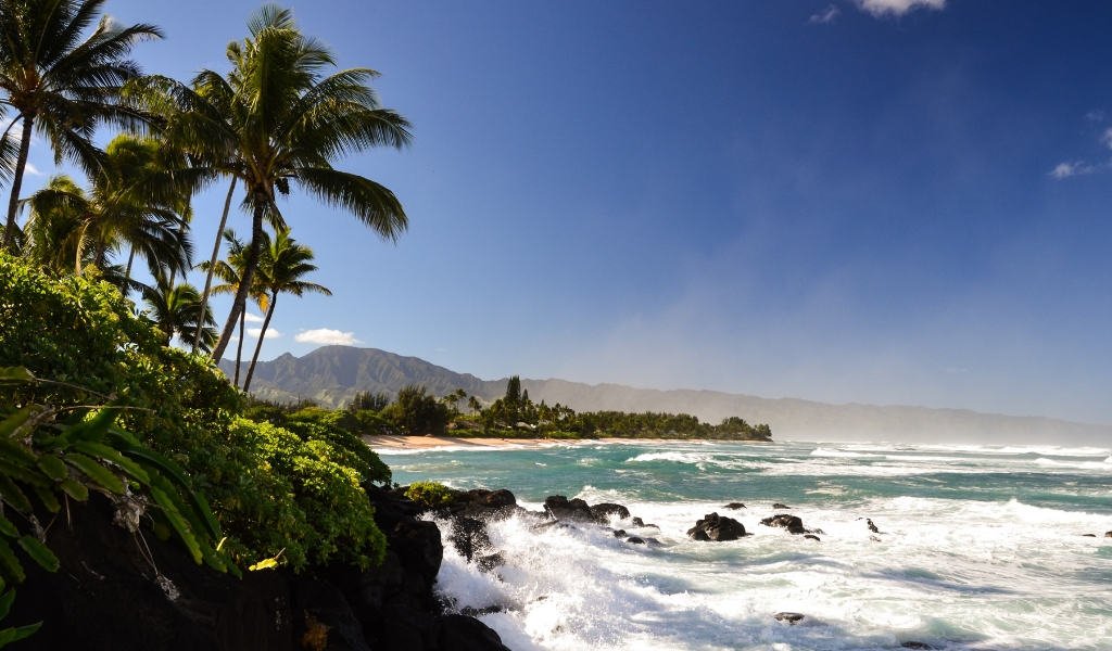 north-shore-hawaii.jpg