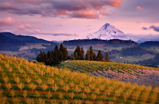 willamtte-valley-oregon.jpg