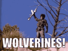 Wolverines GIFs | Tenor