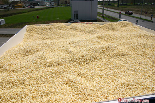 worlds-biggest-pop-corn-box0104.jpg
