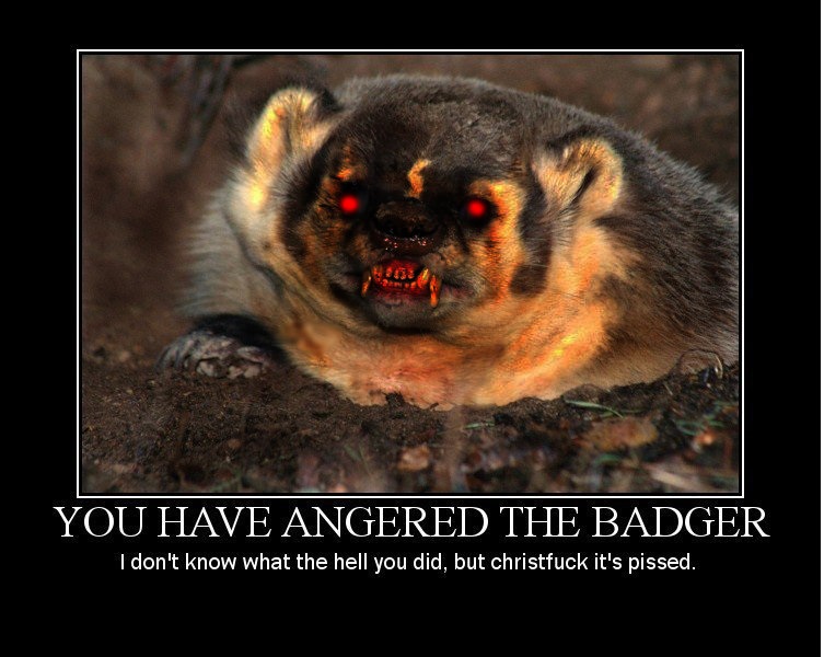 Angry_Badger.jpg