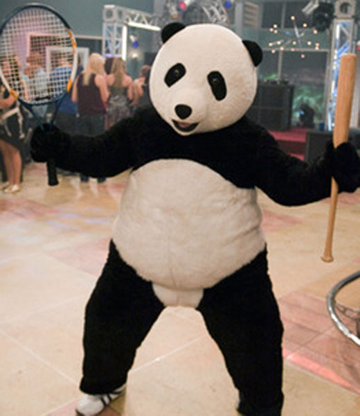 t-bo-panda-3.jpg