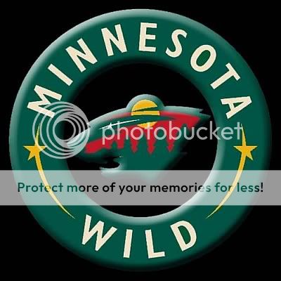 Sports_Minnesota_Wild.jpg