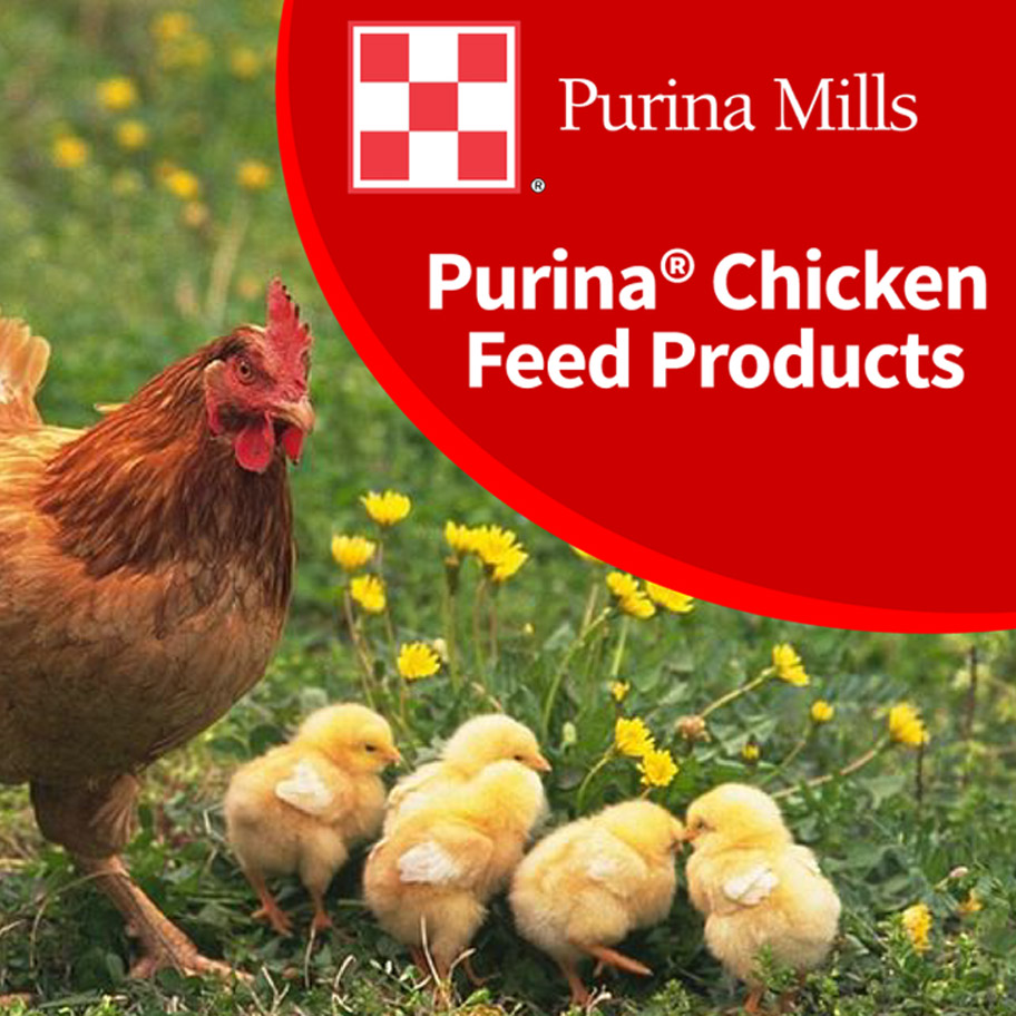 Jeff-Feed-Products-Purina-Chicken-Feed.jpg
