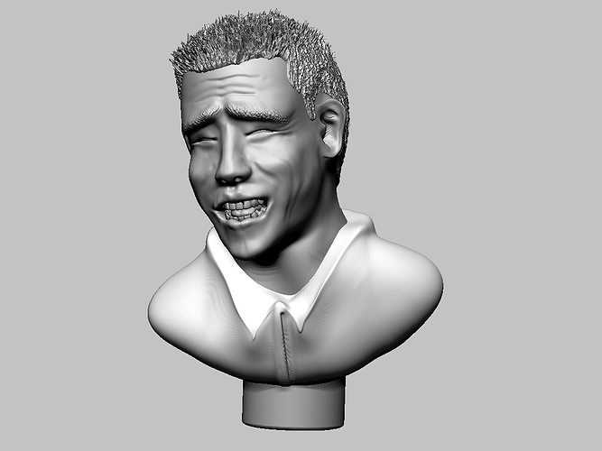 meme-bust-3d-model-obj-stl.jpg