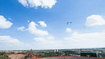 florida gators pilot GIF by University of Florida