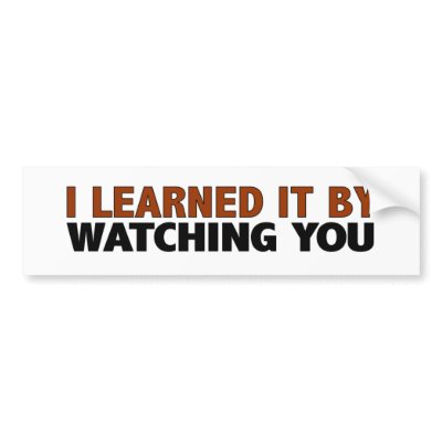 i_learned_it_by_watching_you_bumper_sticker-p128591392321798857z74sk_400.jpg