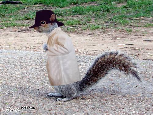 secret_squirrel.jpg