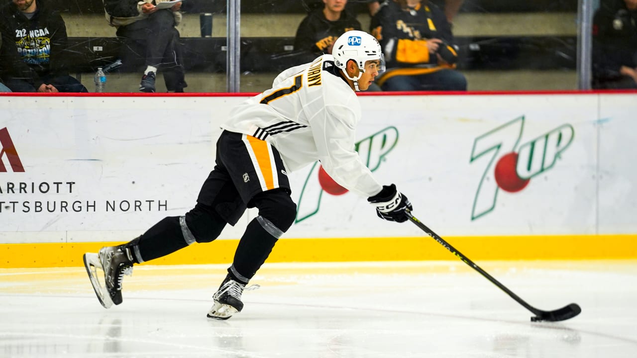 www.nhl.com
