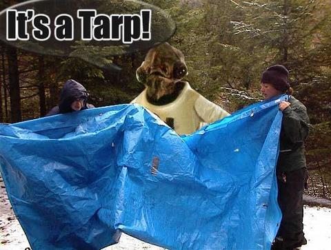 it%27s%20a%20tarp.jpg