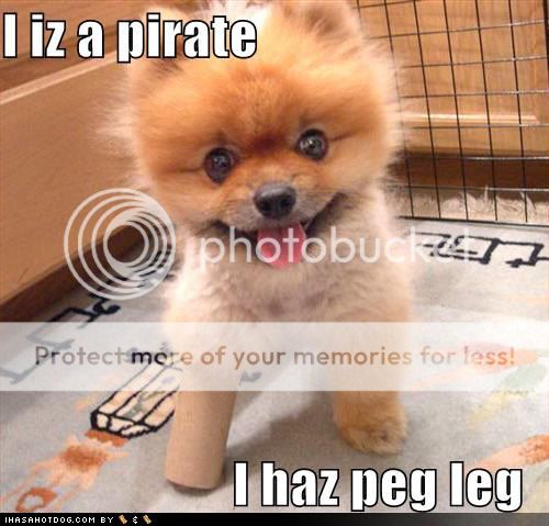 cute-puppy-pictures-peg-leg-pirate.jpg