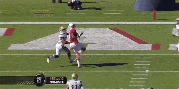 stanford-kodi-whitfield-one-handed-touchdown-catch-against-ucla-best-college-football-gifs-2013.gif