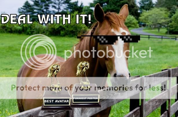 HorseAwards1.jpg