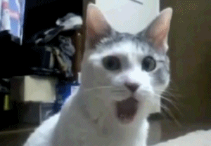 aYUdm3H.gif