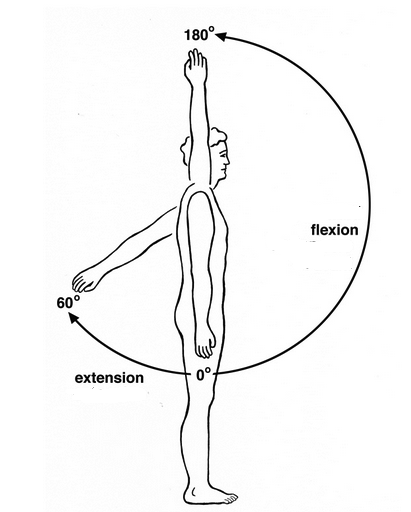 shoulder-flexion-and-extension.png