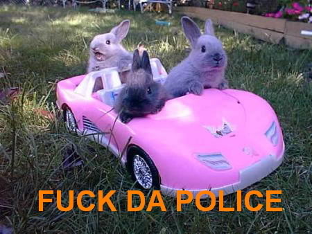 fuck_da_police_rabbits.jpg