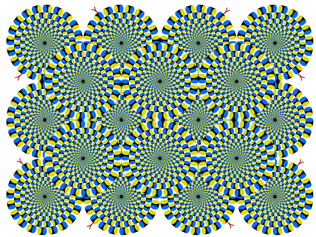 optical-illusion-wheels-circles--1.gif