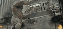 tenor.gif