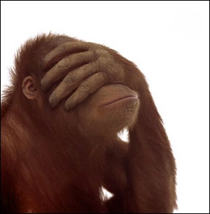 monkey_facepalm.jpg