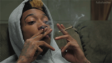 tumblr_mfvij5HeoJ1rz8w5zo1_400.gif