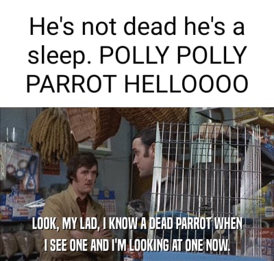 He's not dead he's a sleep. POLLY POLLY PARROT HELLOOOO LOOK, MY LAD. I  KNOW A DEAD PARROT WHEN TCEE ANE ANT LOQUINR AT ONE - America's best pics  and videos