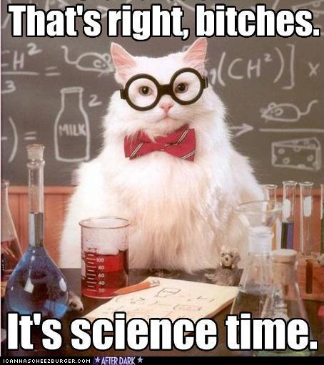 funny-pictures-cat-does-science.jpg