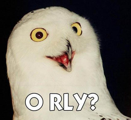 o-rly-owl.jpg