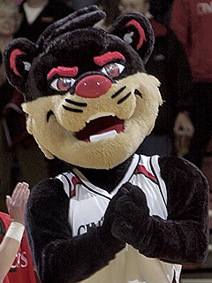 mascot240x320.jpg