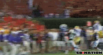 bopped_medium.gif