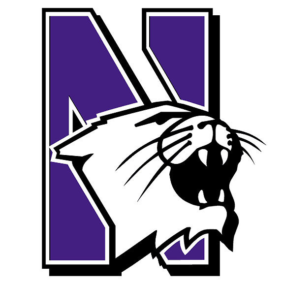 logo-northwestern-wildcats-575x575.s600x600.jpg