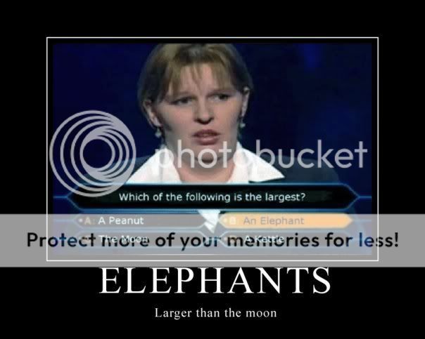 Elephant-Moon.jpg