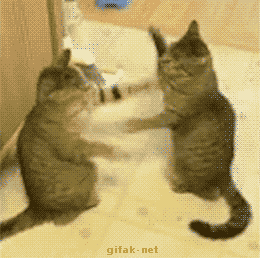 Gc3Fuhs.gif
