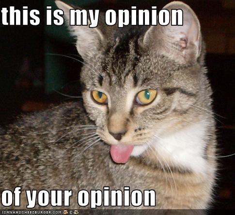 funny-pictures-cat-hates-your-opinion.jpg