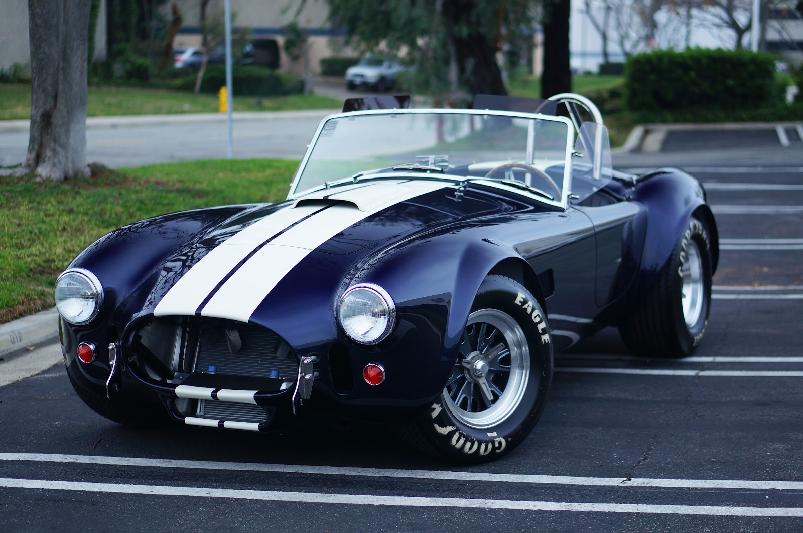 SHELBY+COBRA+427.jpg