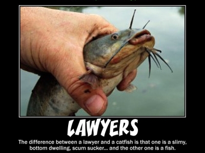 lawyer.jpg
