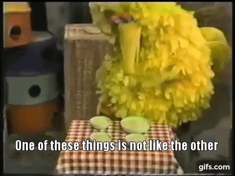 big-bird-sesame-street-one-of-these-things-is-not-like-the-other.gif