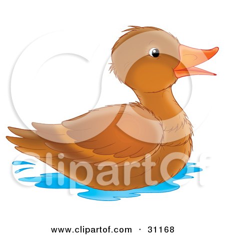 31168-Clipart-Illustration-Of-A-Happy-Brown-Duck-With-An-Orange-Beak-Swimming.jpg