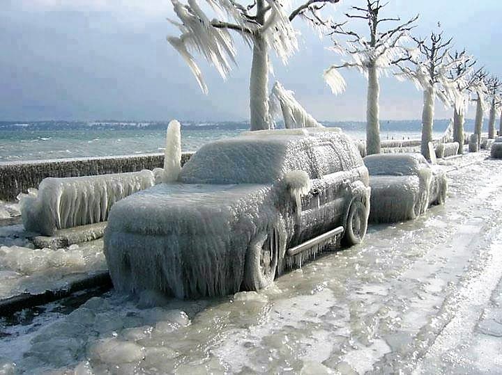Frozen-Cars.jpg