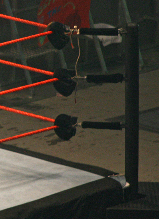 Wrestling_Turnbuckles_(WWE)_jjron_10.11.2007.jpg