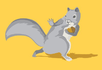 squirrel-med.gif