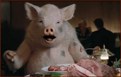 pig-eating-ham.jpg
