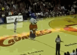 basketball-referee-head-butted-by-cavaliers-mascot.gif