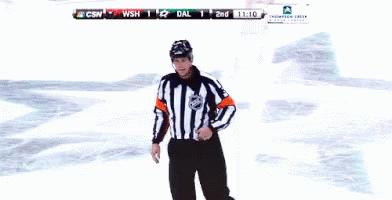 referee-you-cant-do-that.gif