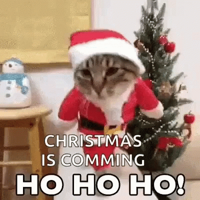 Christmas-Is-Coming-Gifs-Memes-And-Pictures-49162-4.gif