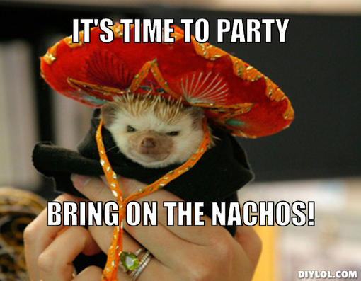 ferret-fiesta-meme-generator-it-s-time-to-party-bring-on-the-nachos-9d4cb7.jpg