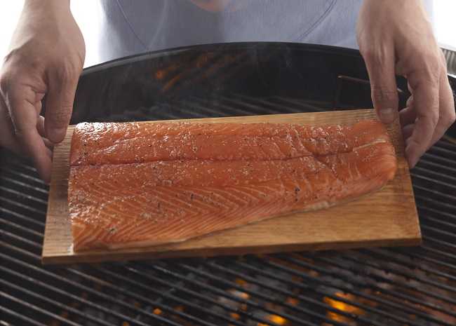 101645079-smoked-salmon-on-the-grill-photo-by-Meredith-Publishing.jpg
