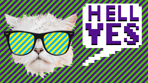 Gif-Party-Hell-Yes-Cat.gif