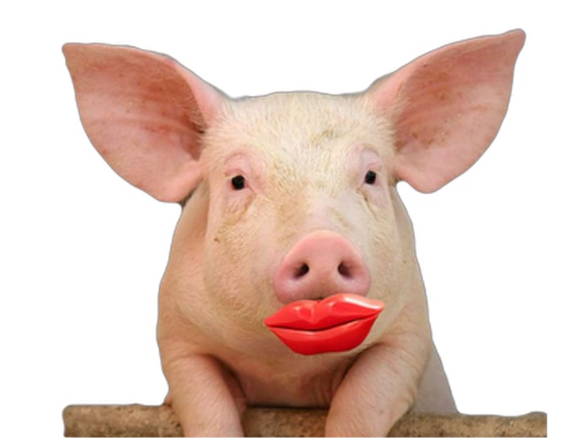 putting-lipstick-on-a-pig-1-638.jpg